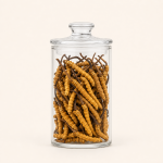 DONG CHONG XIA CAO - 冬虫夏草 - Cordyceps Sinensis